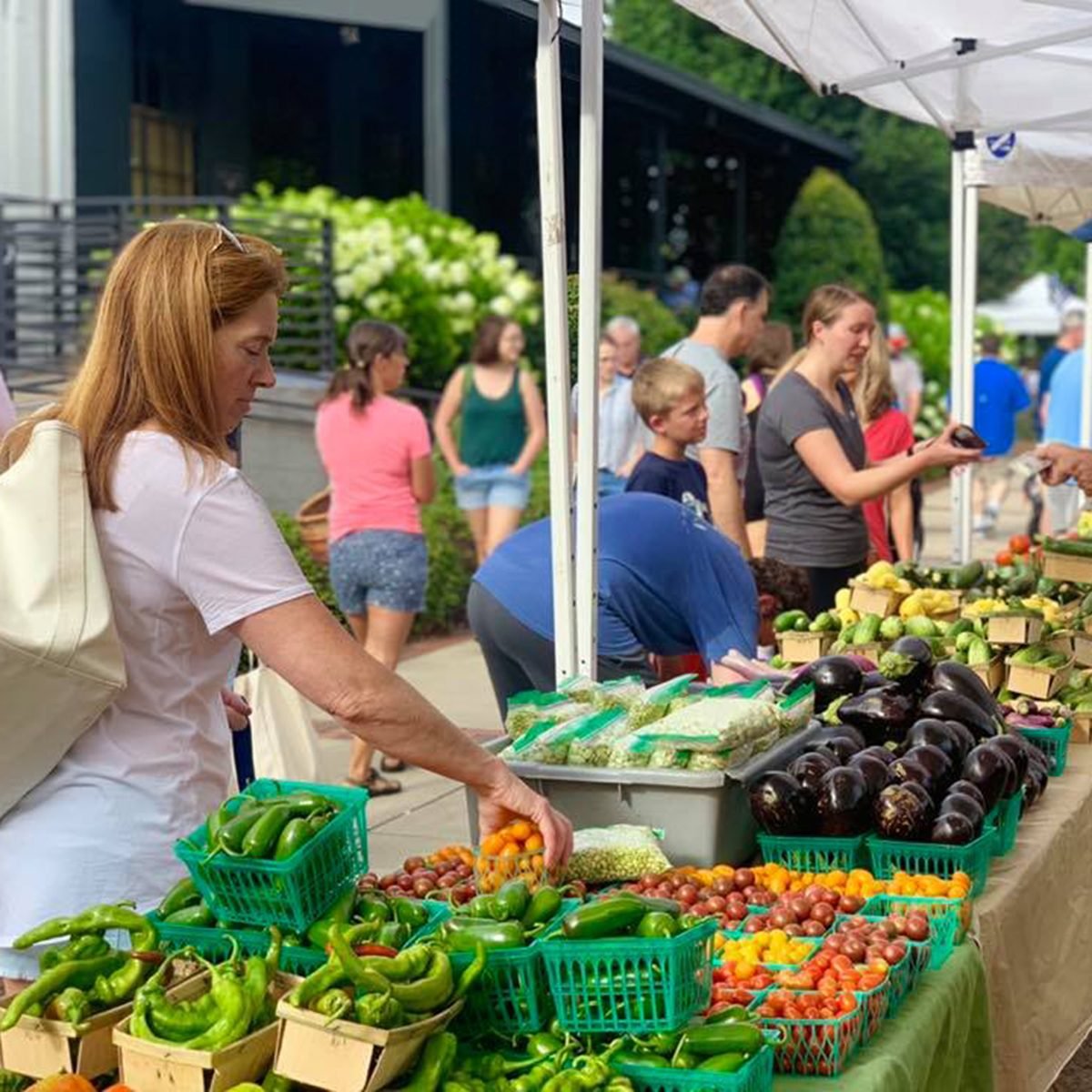 Supporting Small Businesses at Wyoming Ave Farmers Market